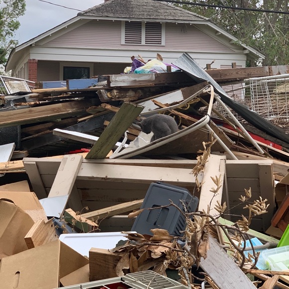 Meet the Posher - Tami - Picture 8 of 8